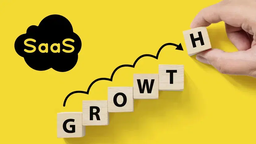 What Makes a Successful SaaS Company?